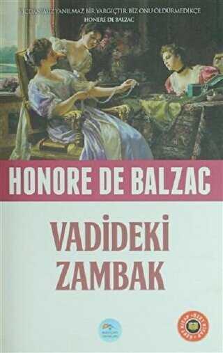 Vadideki Zambak Özet Kitap