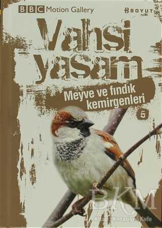 Vahşi Yaşam 2 - Meyve ve Fındık Kemirgenleri
