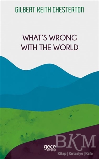 What`s Wrong with The World kapağı