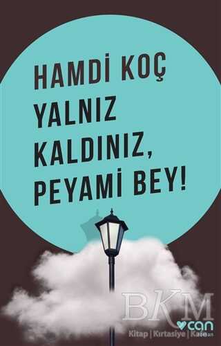 Yalnız Kaldınız, Peyami Bey!