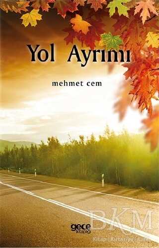 Yol Ayrımı kapağı