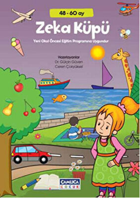 Zeka Küpü